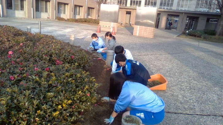 image_2